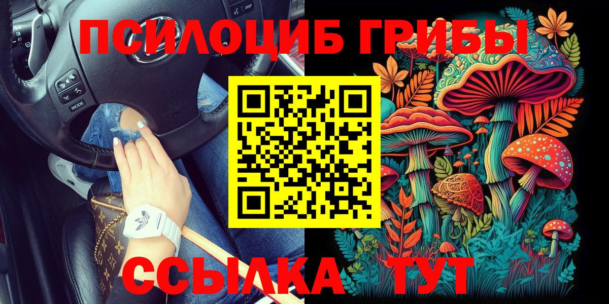 Галлюциногенные грибы Psilocybine cubensis  Галлюциногенные грибы Psilocybe  Кирово-Чепецк  Вход с VPN 