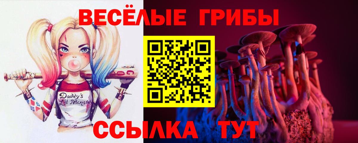 Галлюциногенные грибы GOLDEN TEACHER Кирово-Чепецк